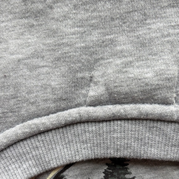 2/20$ SWS Athletics Colorado Bear Graphic Crewneck Sweatshirt Heather Grey Small - Picture 7 of 9